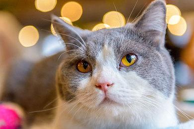 斯宾赛希望《星空》能像《上古卷轴5》一样耐玩